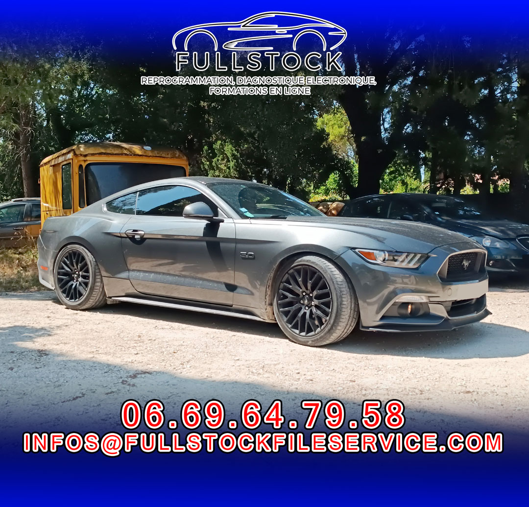 Ford Mustang 5.0 L « Optimisation VRAIMENT sur mesure »