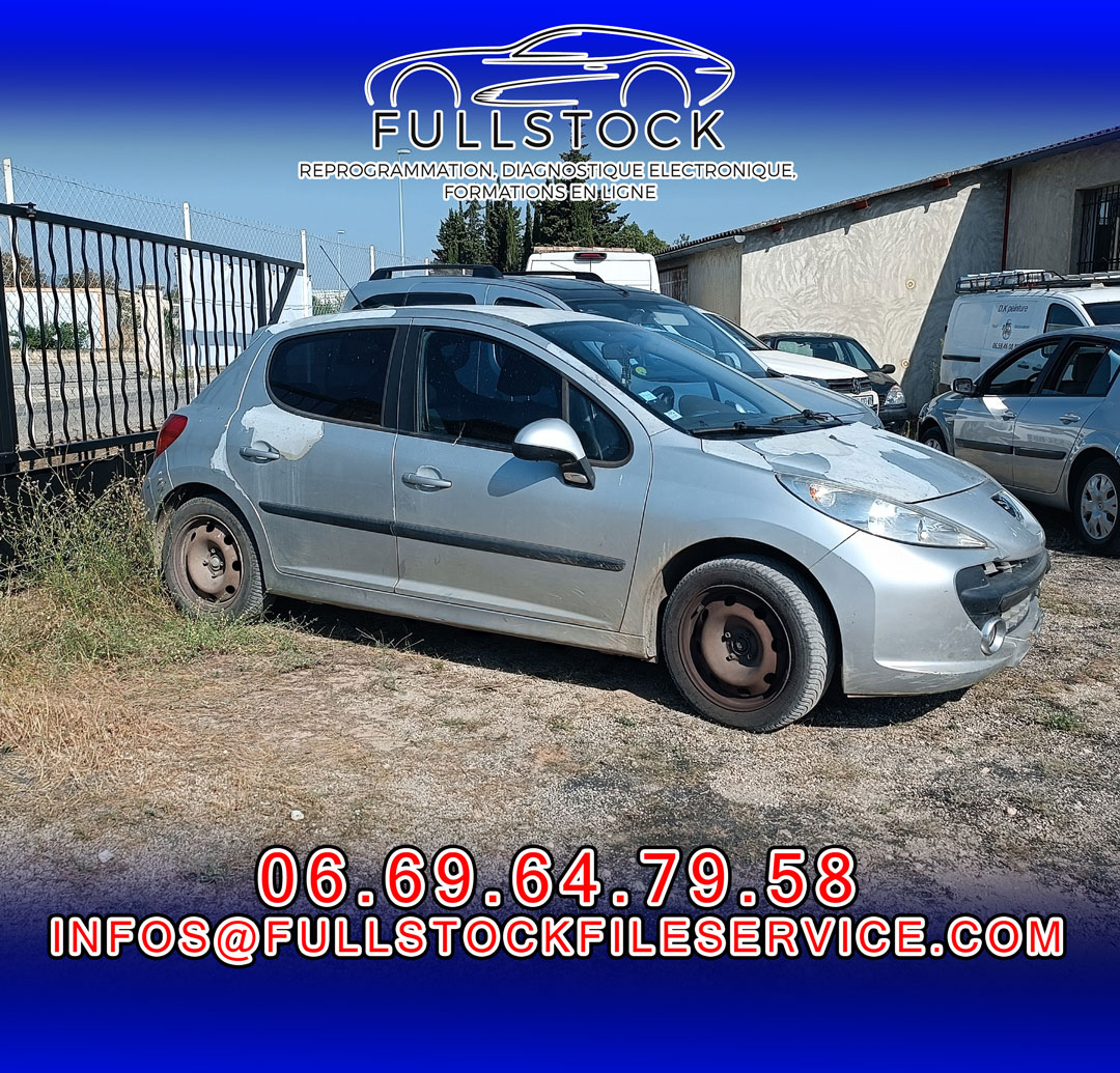 Peugeot 207 HDI « Réparation FAP et EGR »