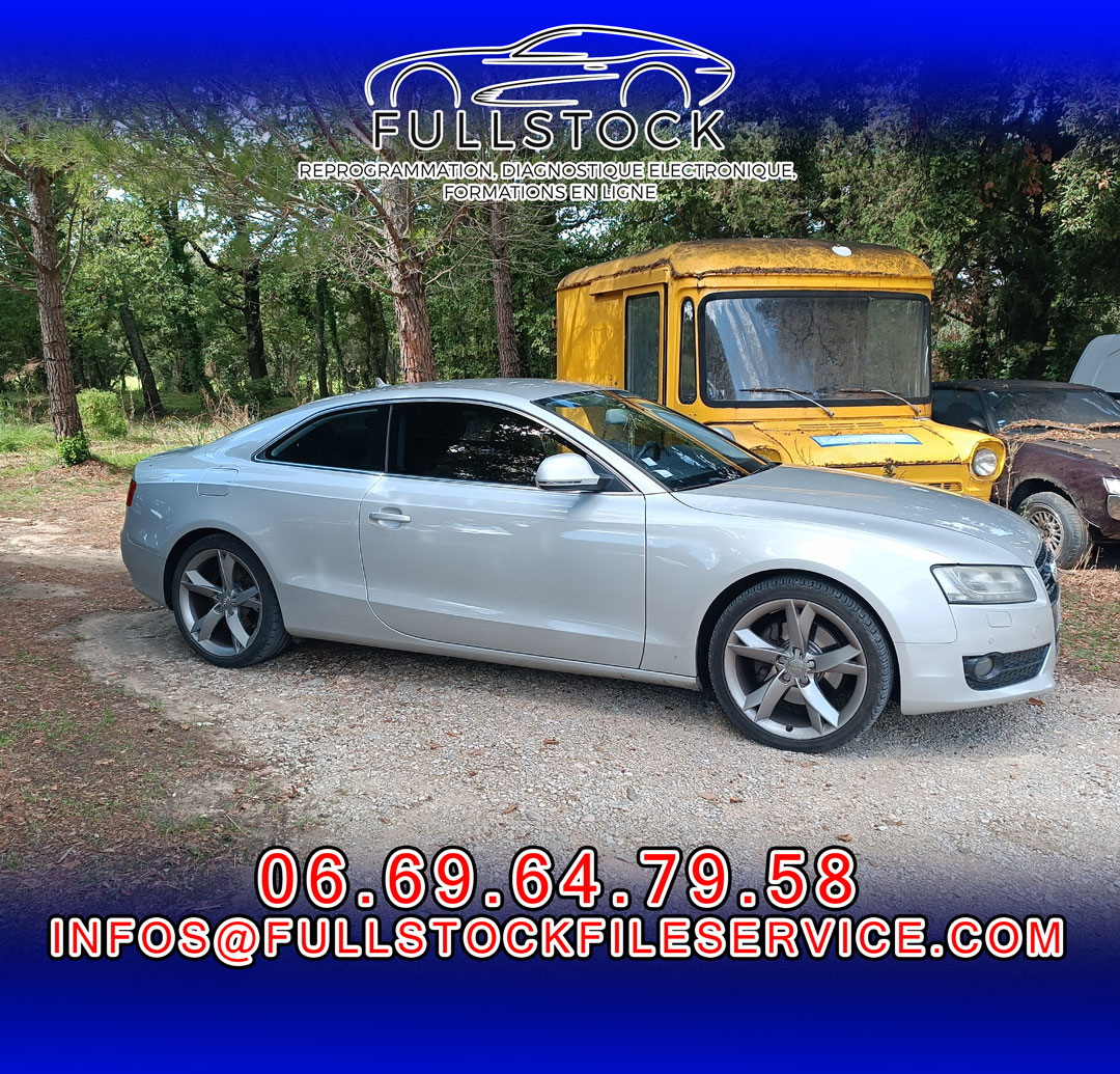 Audi A5 3.0 TDI « Problème EGR »
